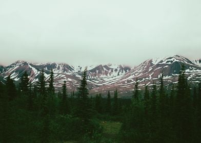 Alaska Daydreams