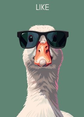 Cool Duck Shades Green