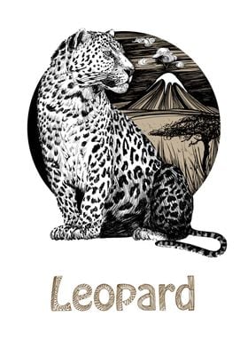 Leopard