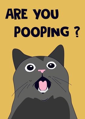 Funny Cat Quotes Saying