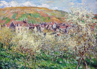 Plum Trees in Blossom