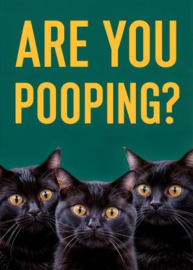 are you pooping 