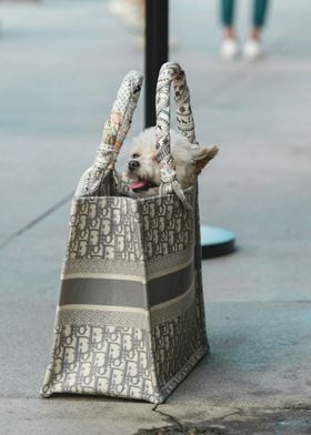 Dior Bag Canine Chic