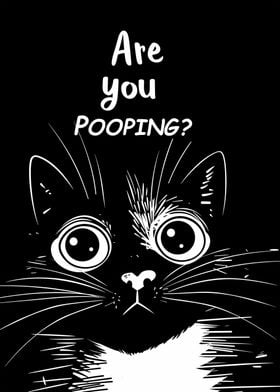 Black Cat Are You Pooping