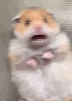 Hamster Meme