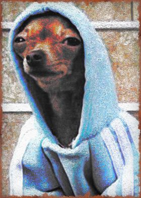 chihuahua wearing hoodie