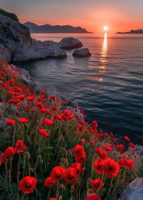 Poppy field sea sunset
