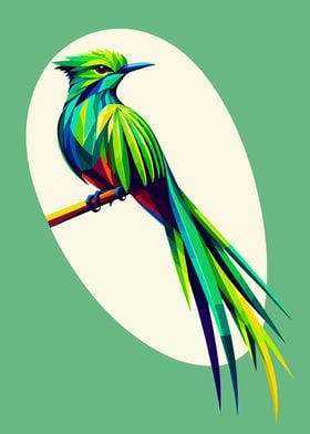 Quetzal wpap pop art