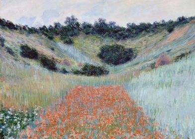 Poppy Field in a Hollow