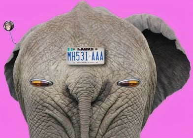 Elephant plate