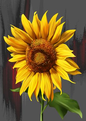 sunflower 14