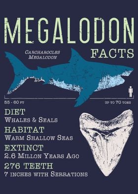 Megalodon Funny Shark art