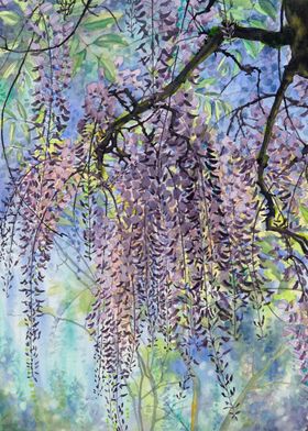 Wisteria Blossom Cascade