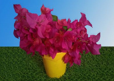 Bougainvillea Flower Vase