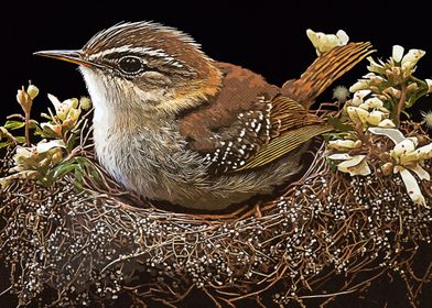 Vintage Birds Nest