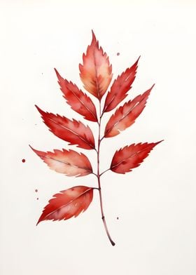 Red Leaves