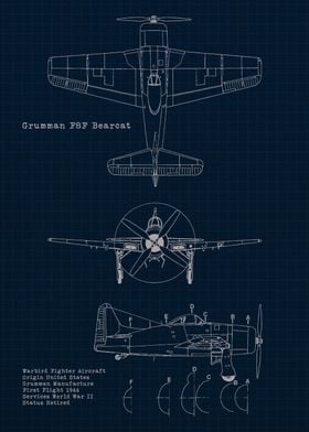 F8F warbird