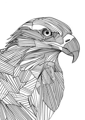 Lines art animal eagle