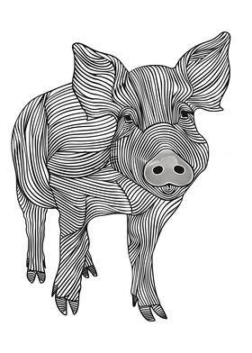 Lines art animal pig