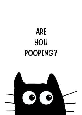 FUNNY CAT ARE YOU POOPING