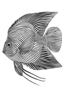 Lines art animal fish