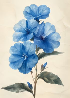 Baby Blue Phlox Flower Art