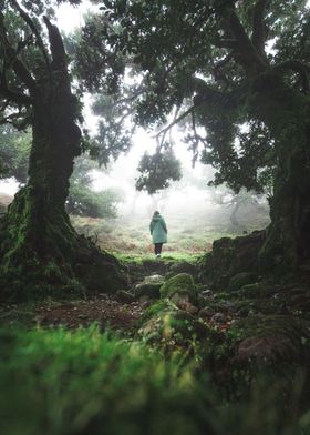 Girl in the fanal forrest