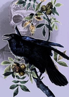 Raven of Edgar Poe