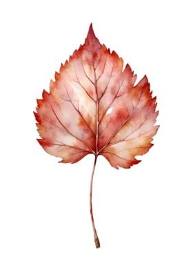 Red Big Leaf