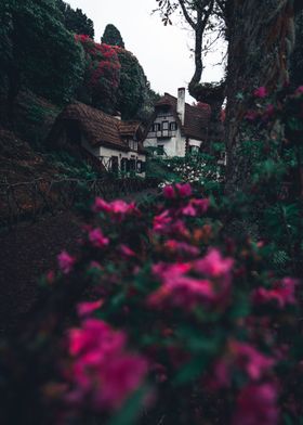 Old houses on madeira