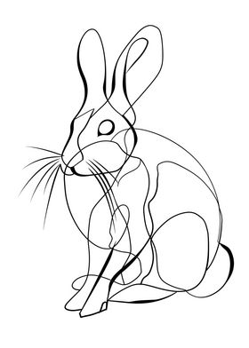 Lines art animal rabbit