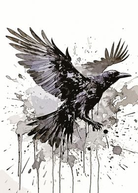 Splatter Crow