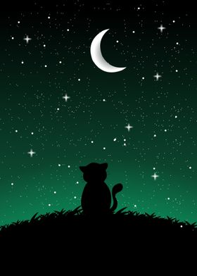 Cat sees stars