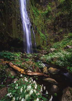 Waterfall on Madeira