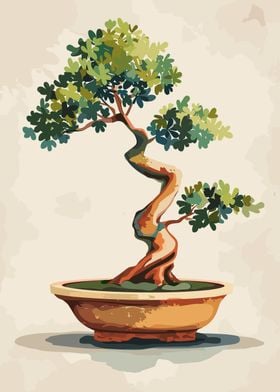 Japanese Bonsai Tree