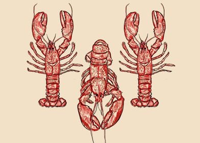 Red Lobster Minimalist