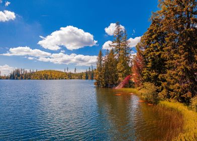 autumn lake landscape 