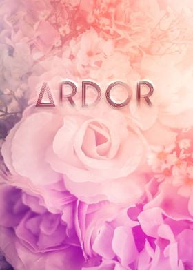 Ardor