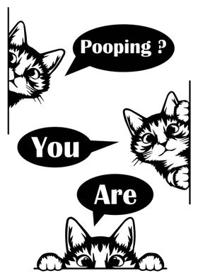 Funny Pooping Kitten Meme