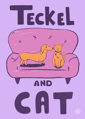 Teckel and cat 