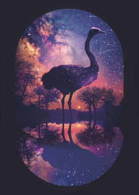 Silhouette Galaxy