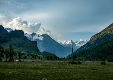 Cloud in the Mountains