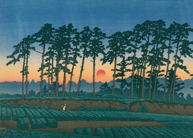 Kawase Hasui Setting Sun