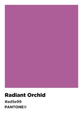 Radiant ORchid