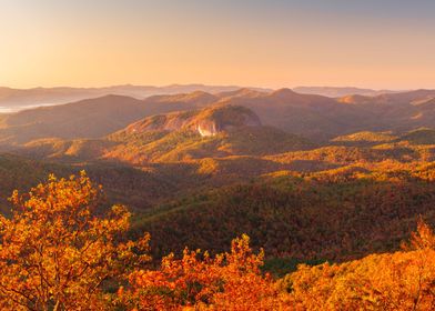 Pisgah National Forest