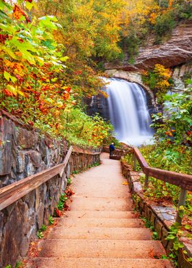 Pisgah National Forest 