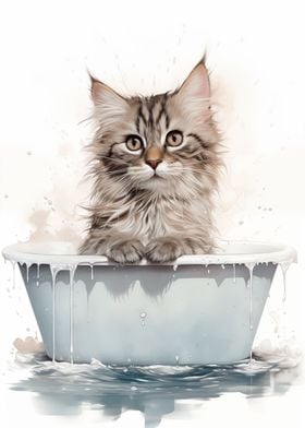Cat Bathtub