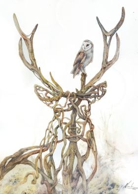 The Stag and Owl