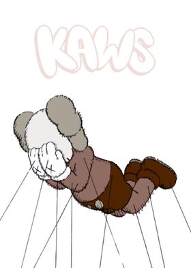 Kaws Fly