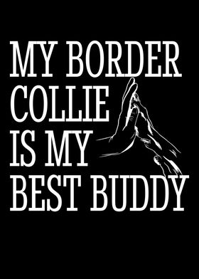 Border Collie Enthusiast